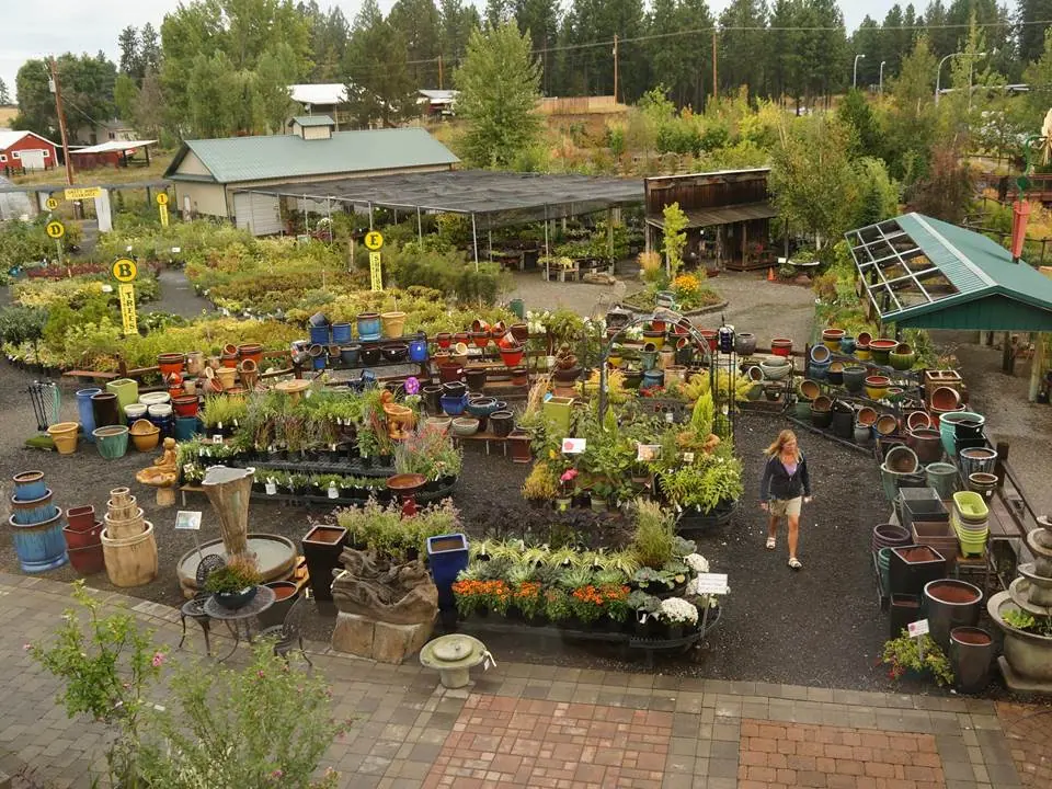 Overhead view of the nursery's plant beds, paths and fountain displays