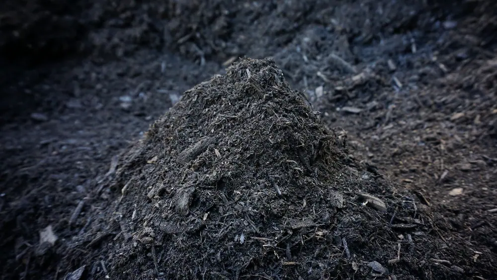 BarTech Compost sample