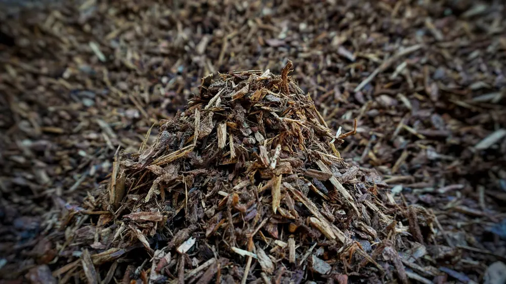 Fresh Fines Bark sample