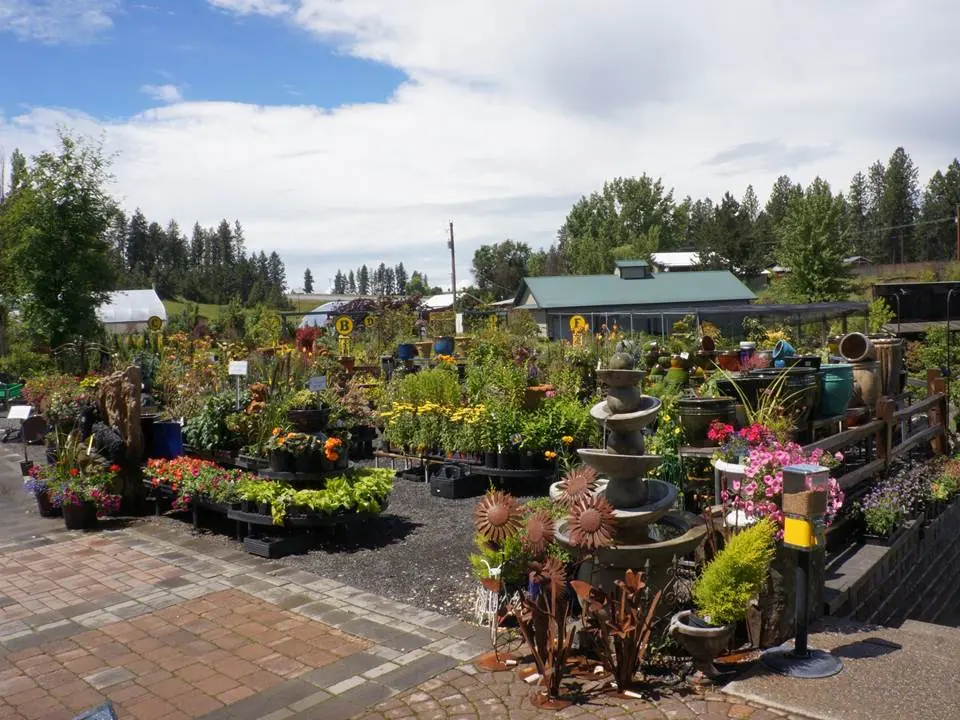 Flowering plant beds and garden fountains along nursery paths
