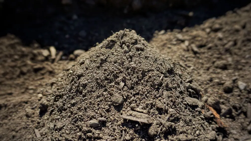 A pile of premium garden soil in the material yard