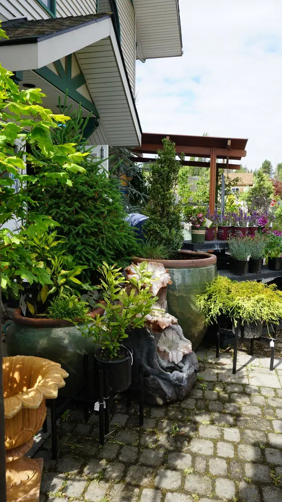 Leafy potted plants and garden ornaments beside a greenhouse entrance