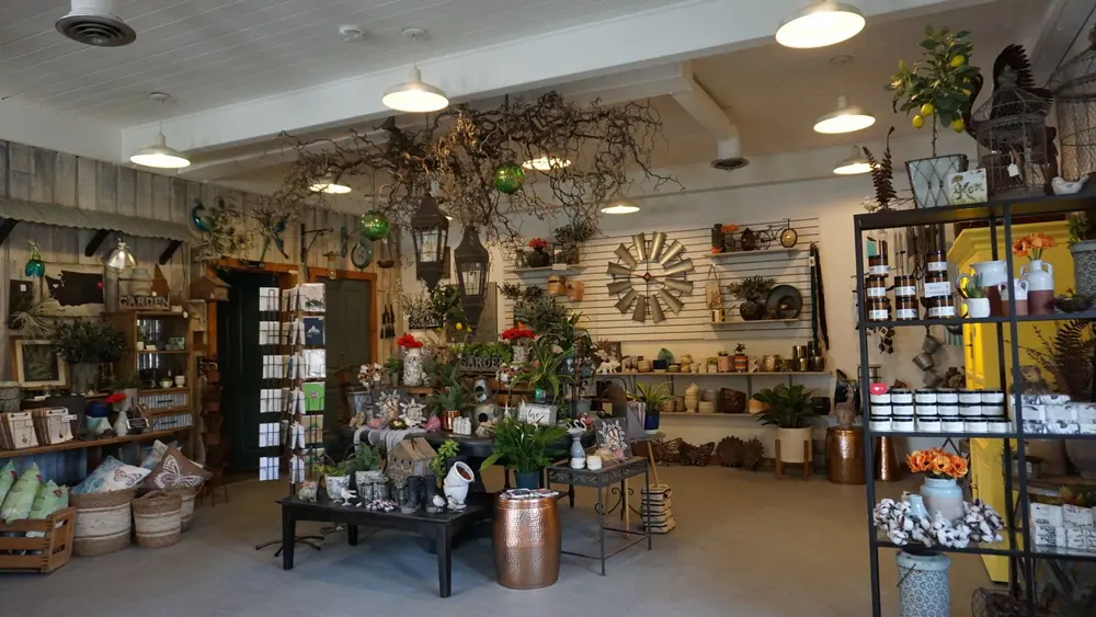 Gift shop interior with shelves of garden decor, plants and gifts