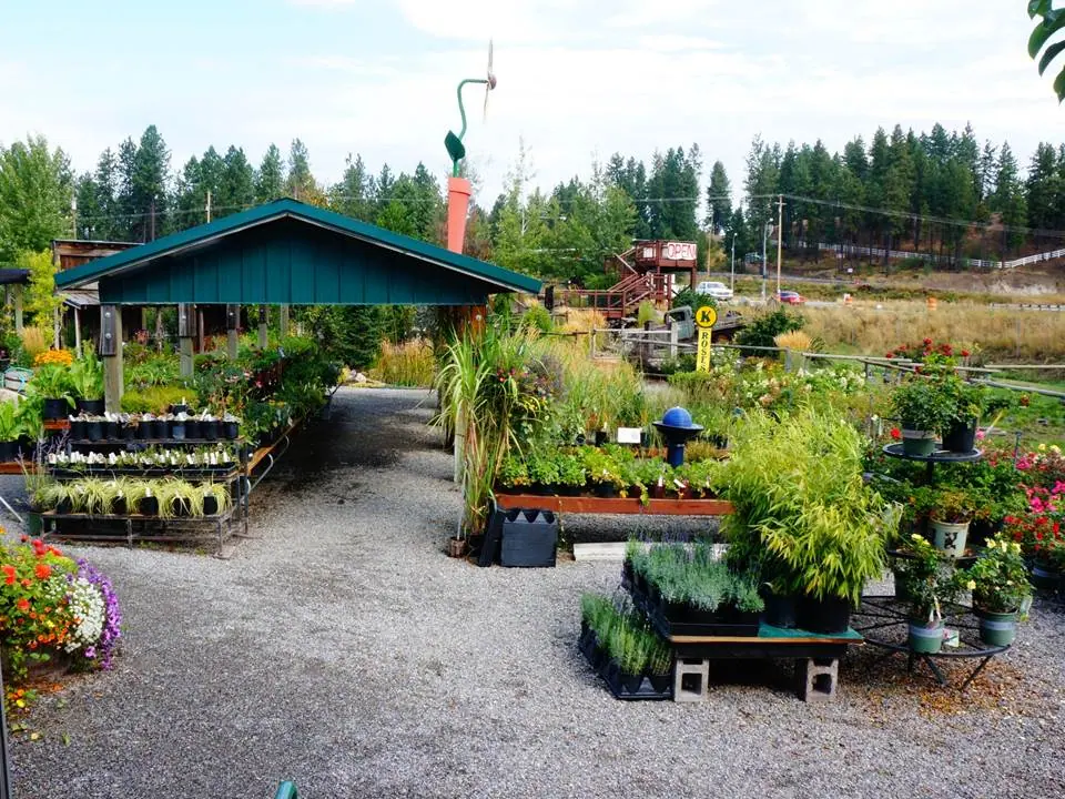 Plant displays and gravel paths beside a green-roofed nursery shelter