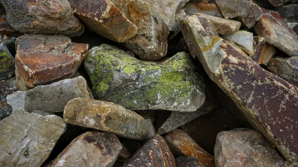 Mossy Mountain sample