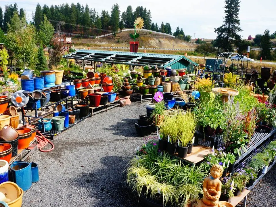 Colorful glazed pots displayed beside plants along a gravel path
