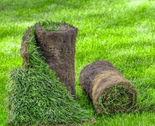 Sod sample