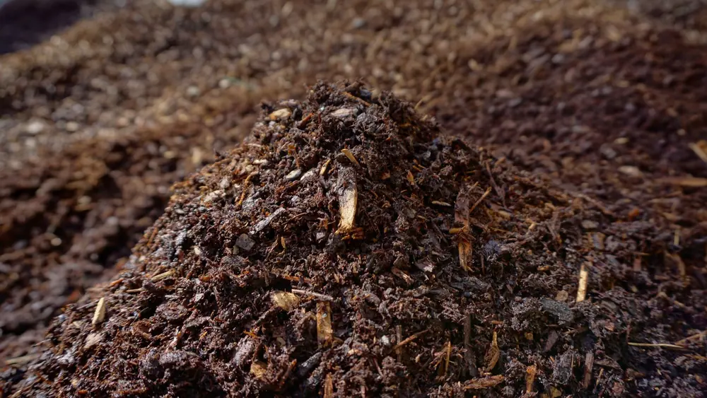 Dark Fines Bark sample