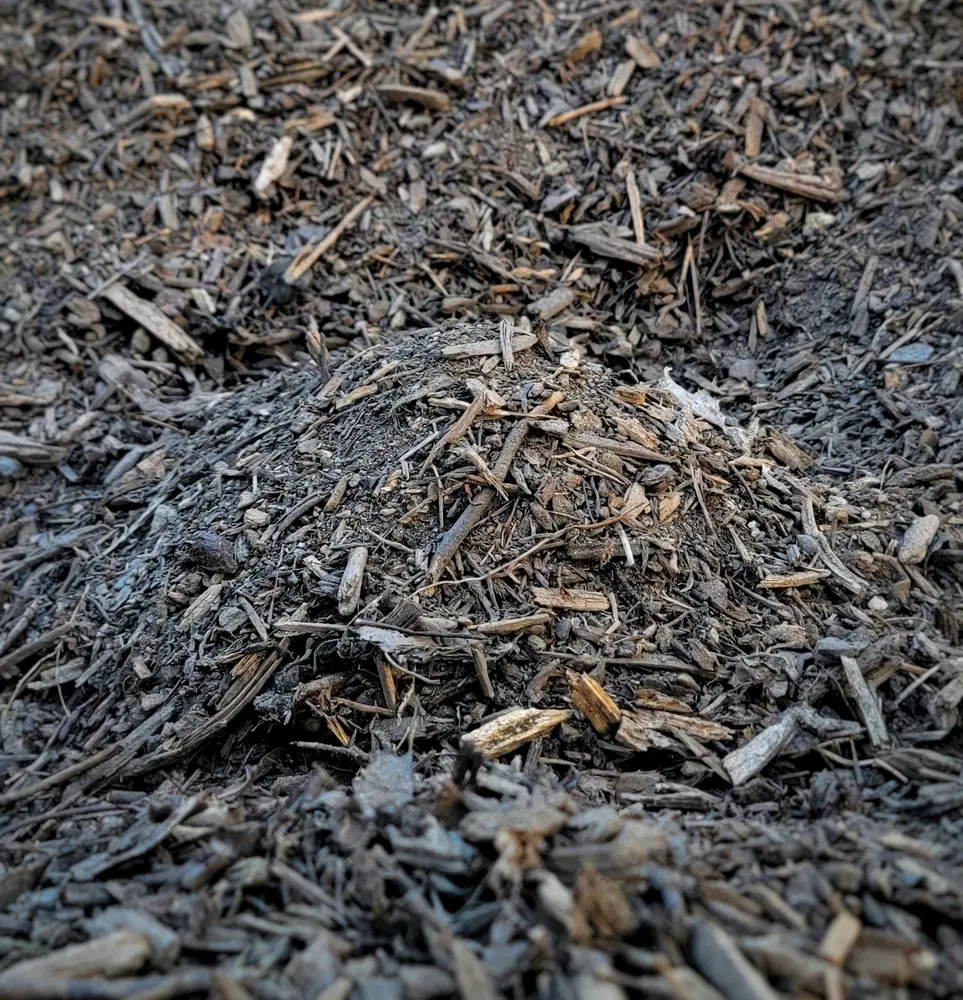 Garden Bark sample