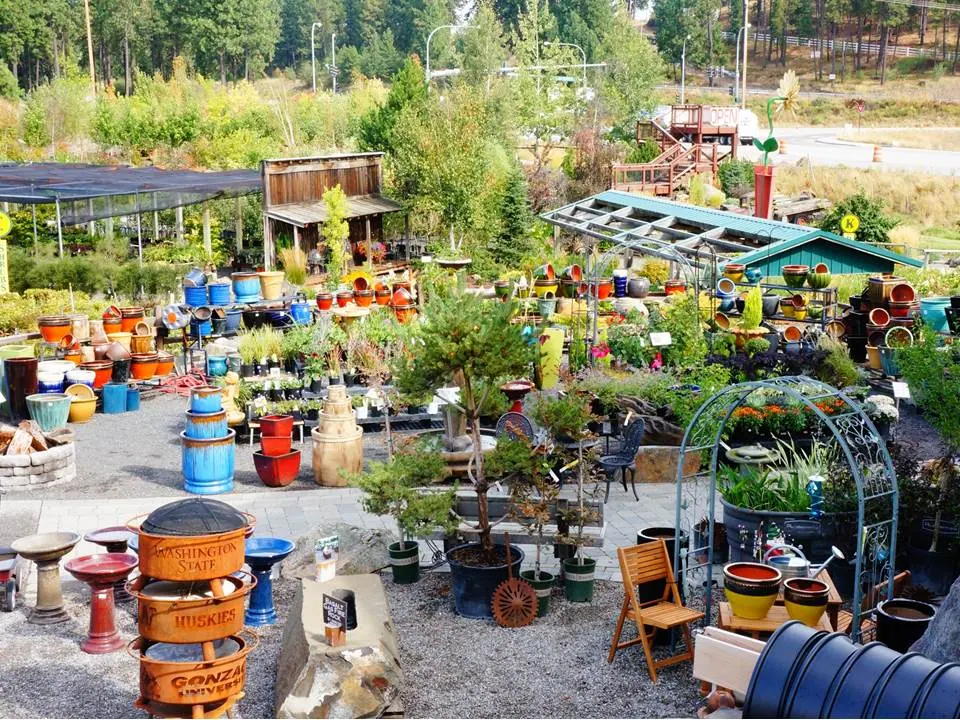Overhead view of colorful garden pots, metal ornaments and nursery plants