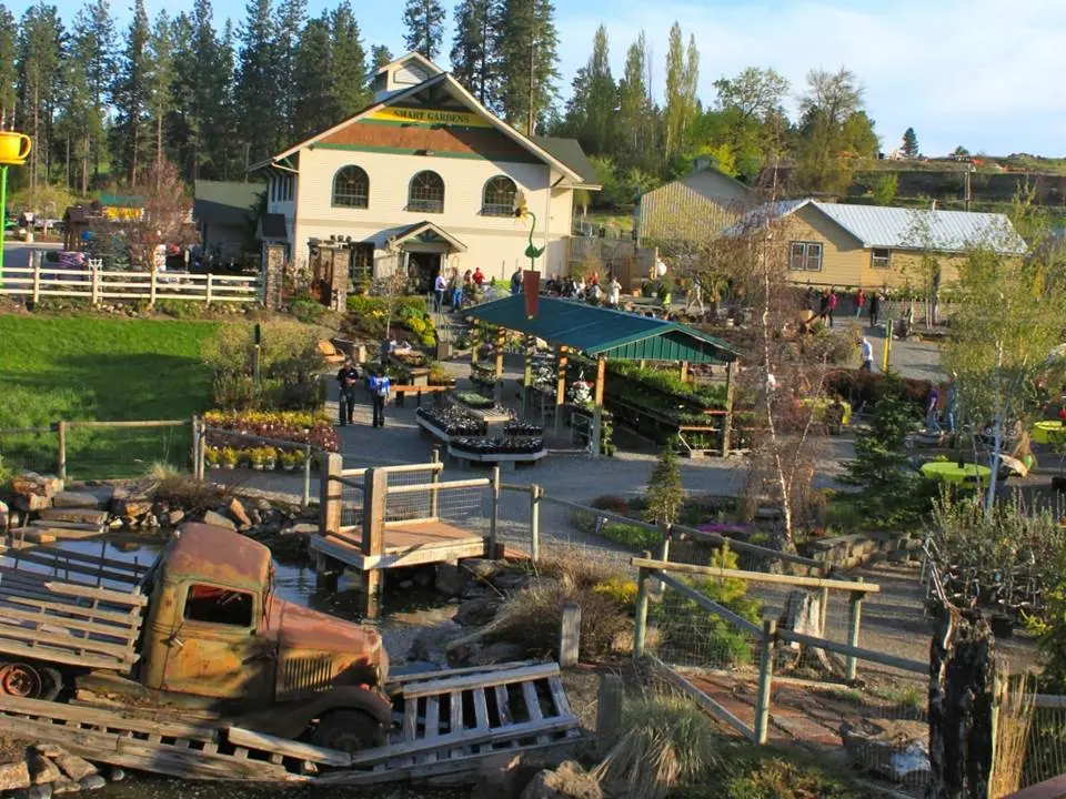 Nursery paths and plants surrounding a pond with a vintage truck display