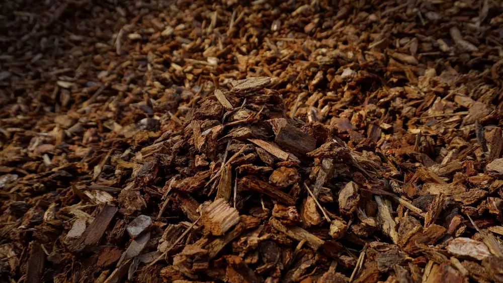 Small Nugget Bark sample